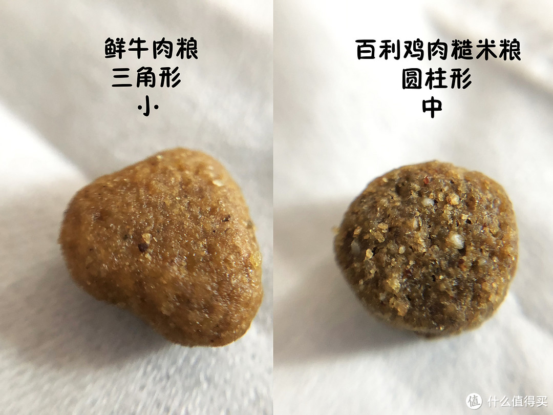 狗子、狗子，你的饭票来了--Prairie百利均衡草原系列鸡肉糙米全犬粮