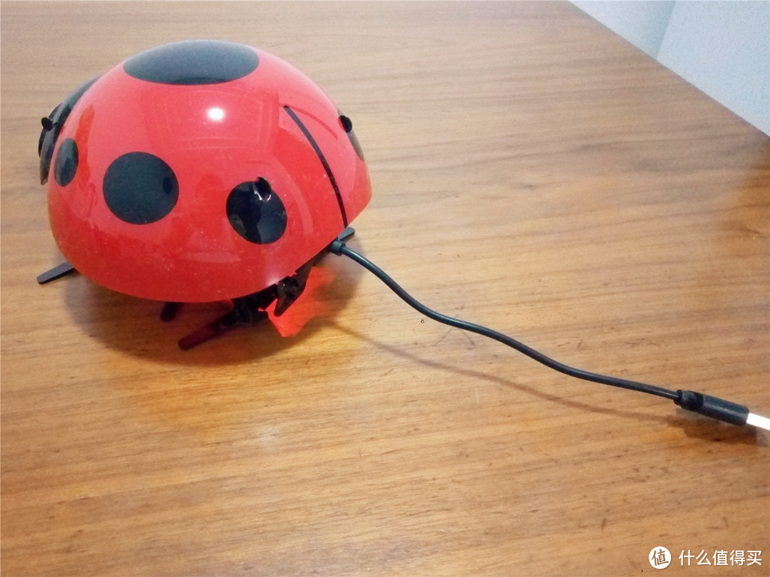 逗逗娃 轻众测 DFRobot出品 逗逗虫机器人