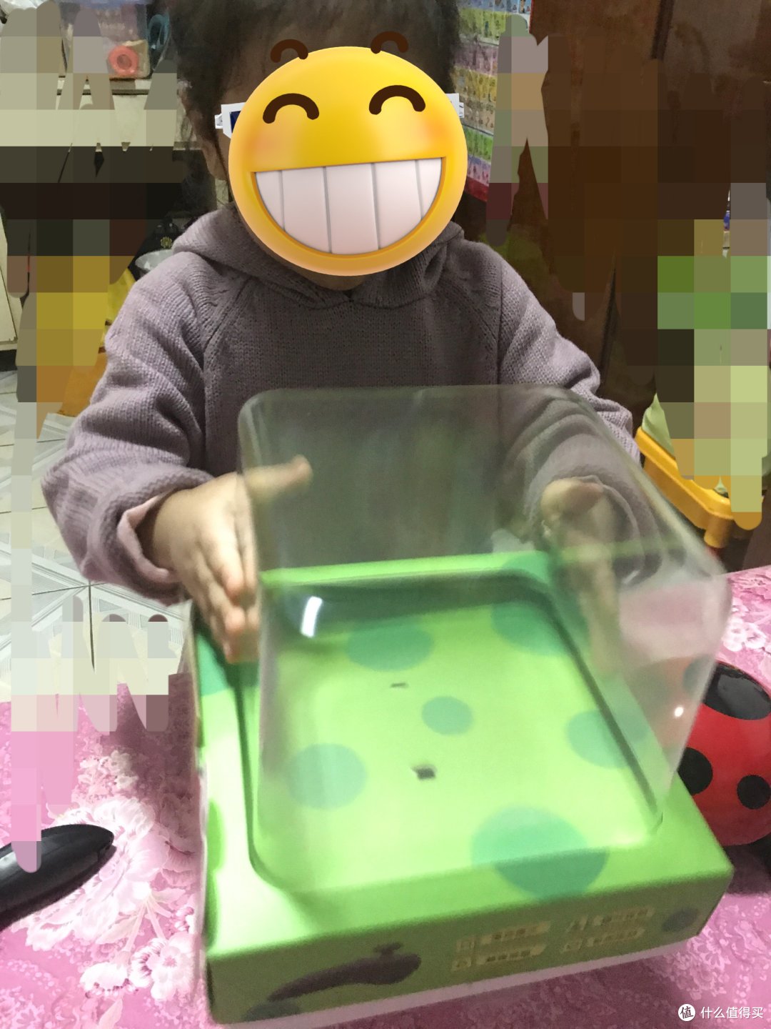 逗逗虫众测反馈