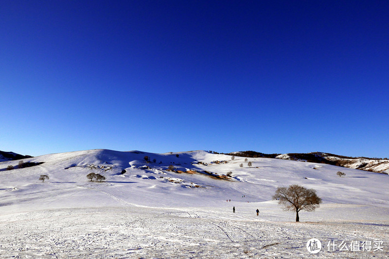 「值友长测」No.7：去雪乡怕挨宰，那就来乌兰布统驰骋吧