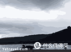 「小科普」百度百科上1920年已经灭绝的物种，实际还大量存活着？