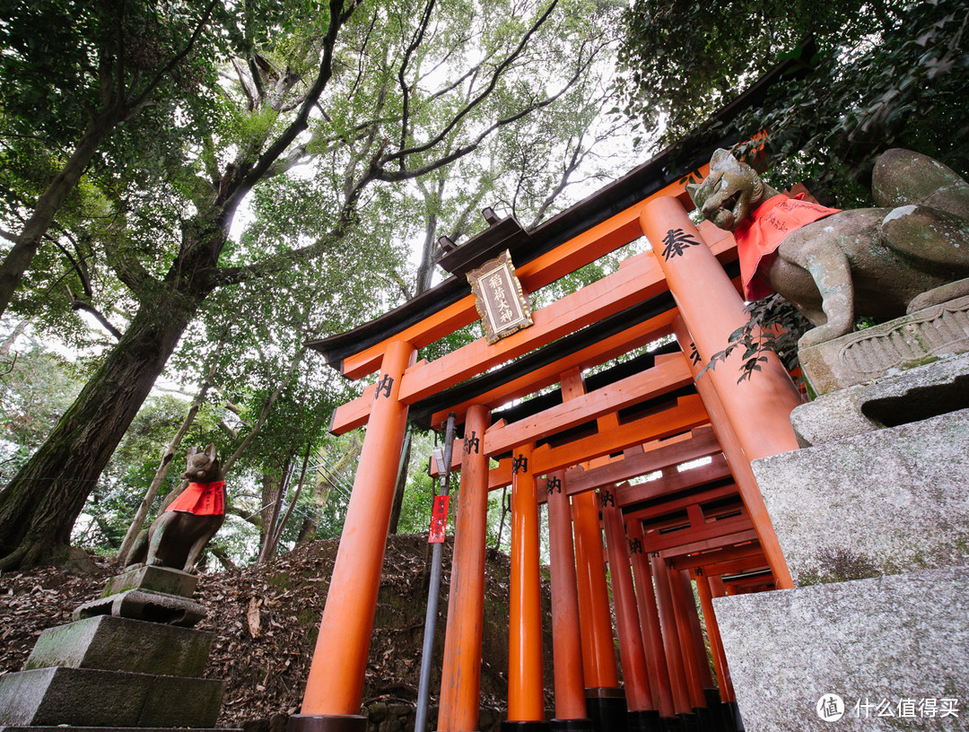 著名的千本鸟居，两侧是神使狐狸