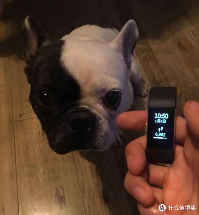 15款手环评测 | 100块小米和1000块Fitbit有什么不一样？