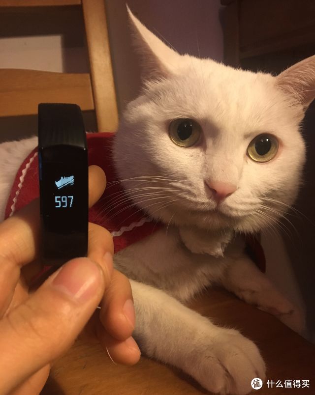 15款手环评测 | 100块小米和1000块Fitbit有什么不一样？