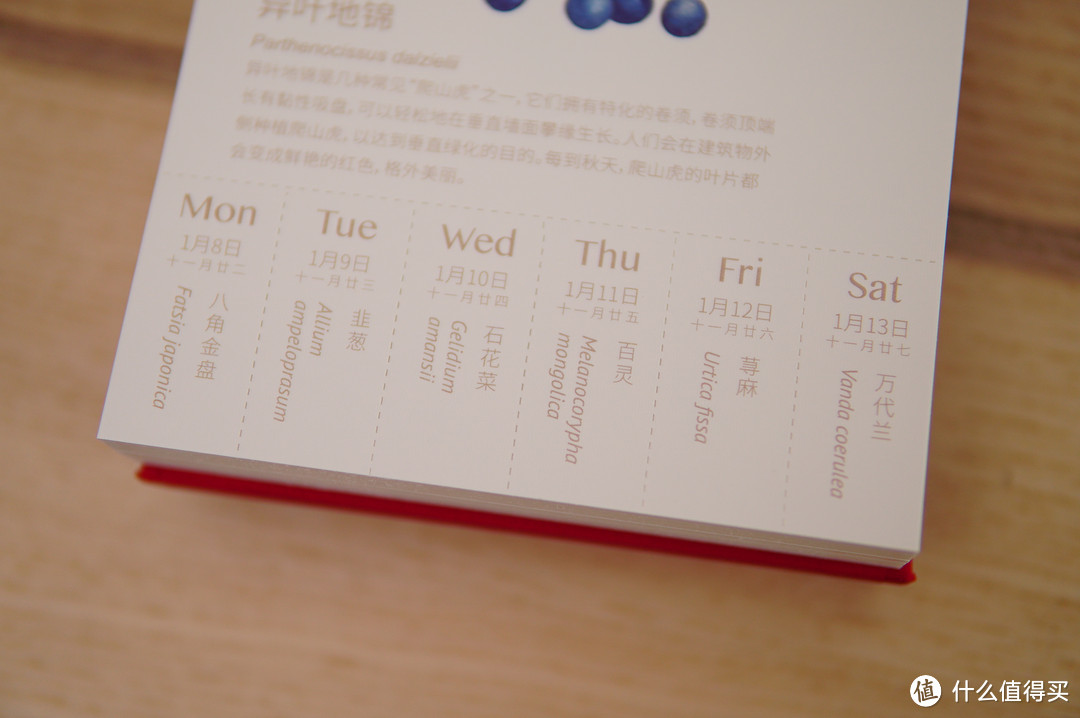 来自大妈的新年礼物—SMZDM 什么值得买 定制台历，顺便晒晒果壳物种日历+中华诗词日历