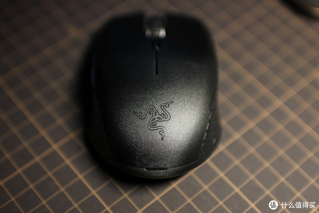 #本站首晒# RAZER 雷蛇 刺鳞树蝰！和雷蛇其他那些妖艳货色不一样！