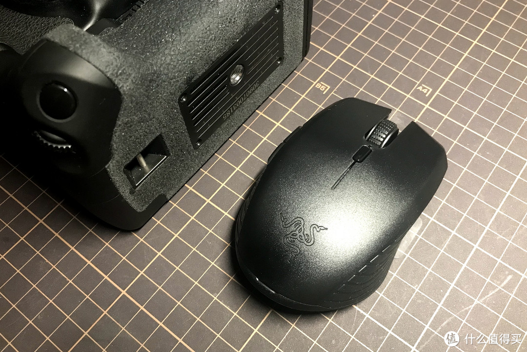 #本站首晒# RAZER 雷蛇 刺鳞树蝰！和雷蛇其他那些妖艳货色不一样！