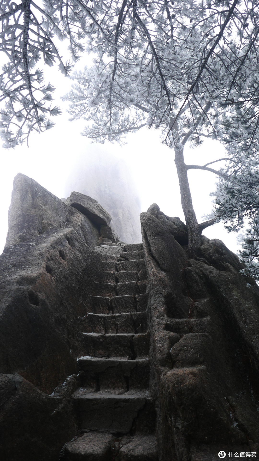 漫将一砚梨花雨，泼湿黄山几段云—黄山游记