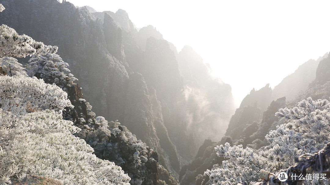 漫将一砚梨花雨，泼湿黄山几段云—黄山游记