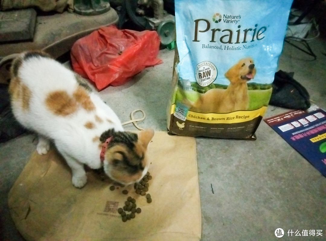 猫咪也爱吃：Prairie 百利草原系列鸡肉犬粮喂养记