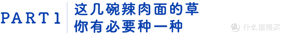 上海最好吃的辣肉面，店里总有个厉害的爷叔