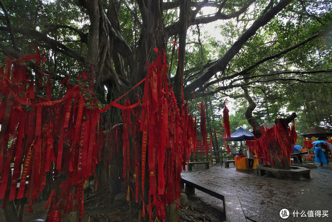 从东山岭到日月湾，上山下海