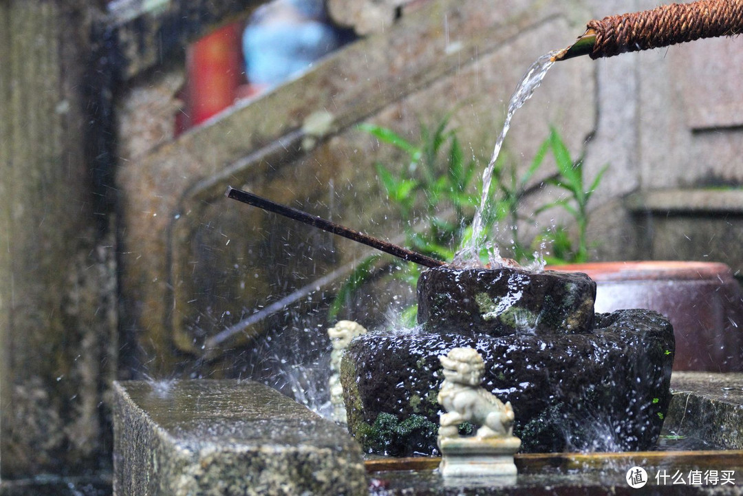 从东山岭到日月湾，上山下海