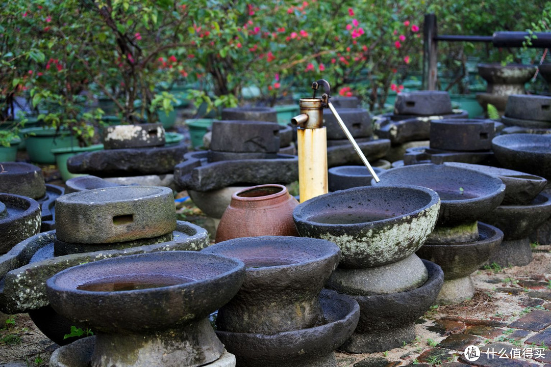 从东山岭到日月湾，上山下海