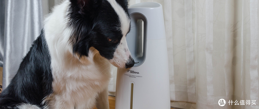 #本站首晒#好看好用:Deerma 德尔玛 4L 落地式加湿器 DEM-LD700