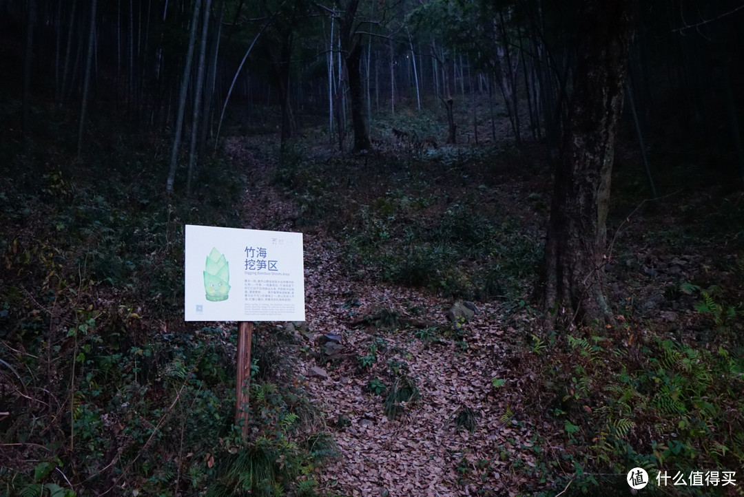 温泉，树屋，无边泳池，茶园—溧阳美芥山野温泉酒店入住体验和周边游记