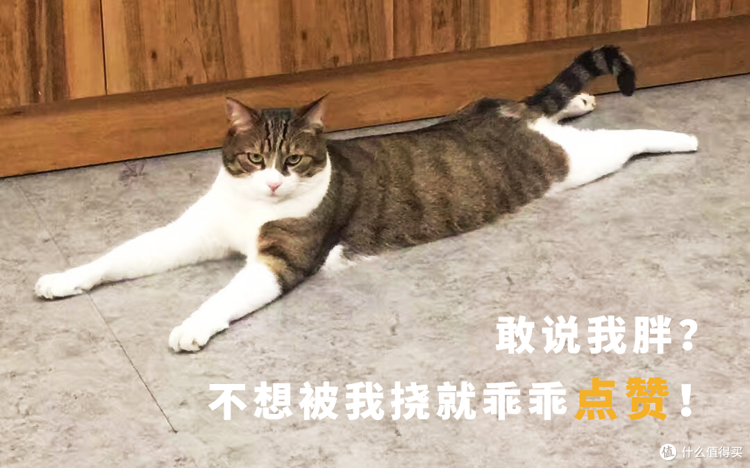 吃撑、玩好、买足:朱家角美食一日游