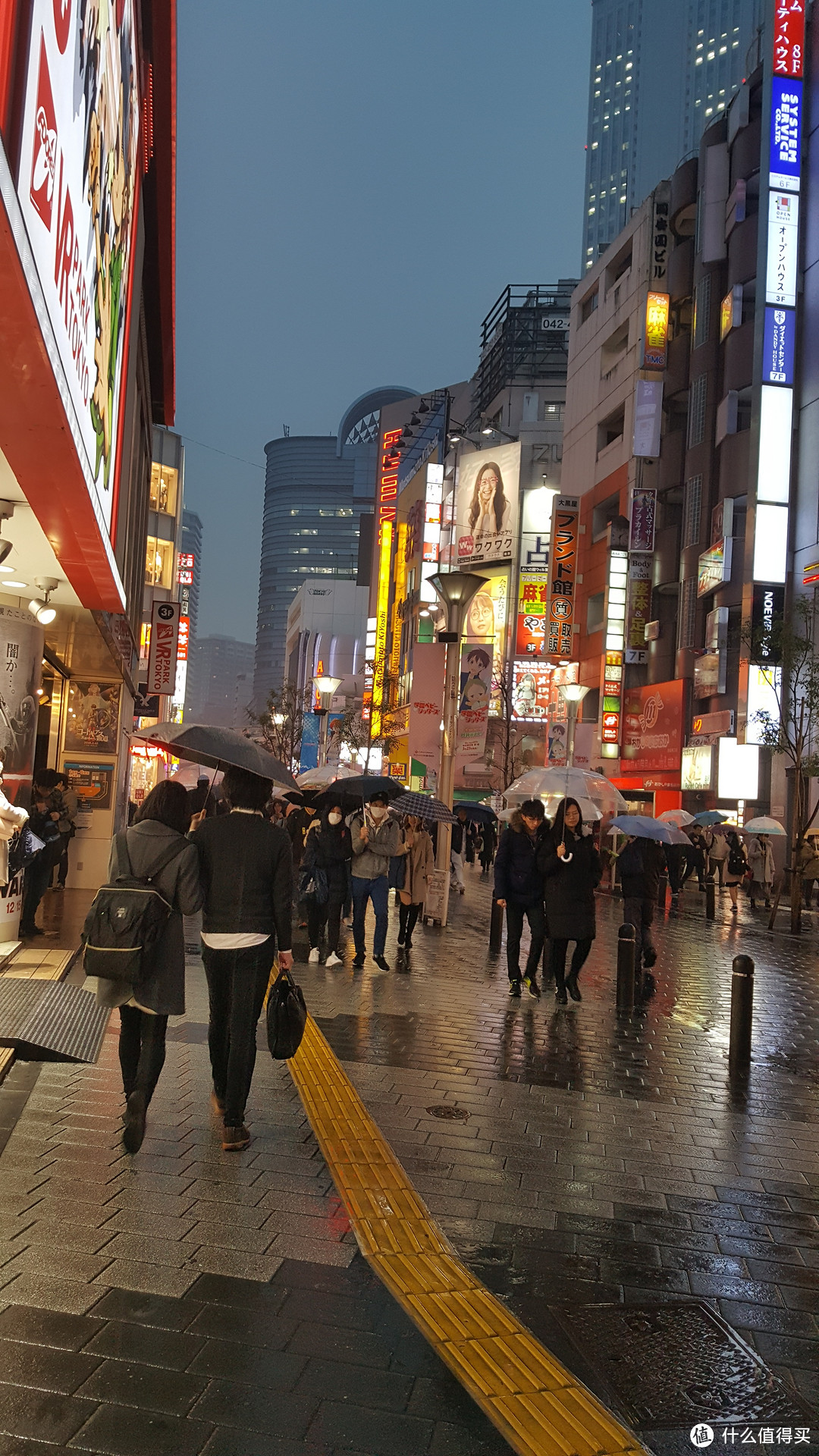 北线（上野公园，谷中银座，池袋）