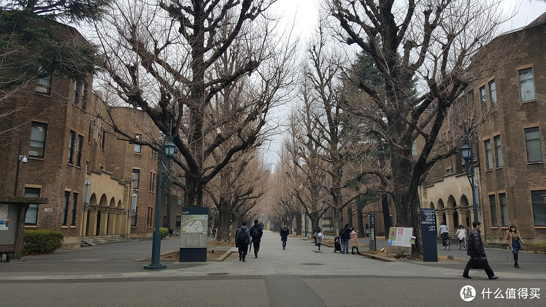 东京大学