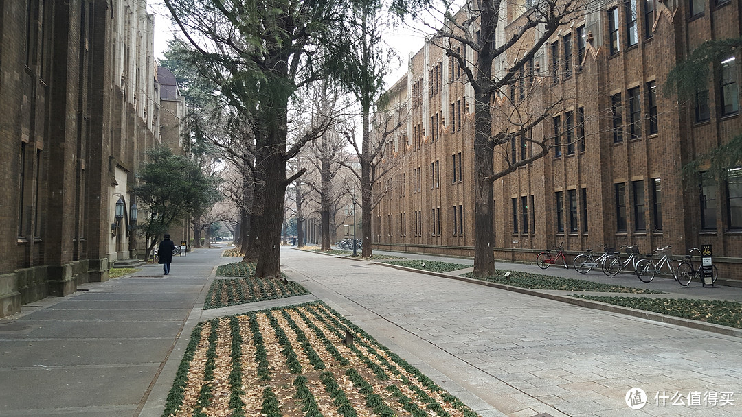 东京大学