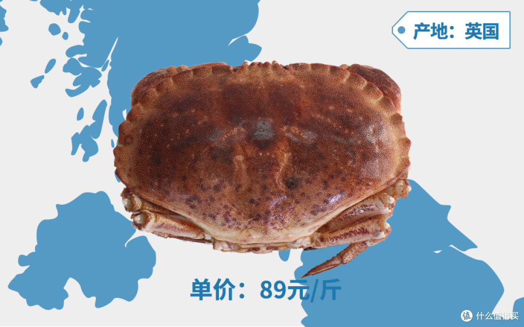 收到一只5斤重的活帝王蟹 要怎么办 在线等 蟹类 什么值得买