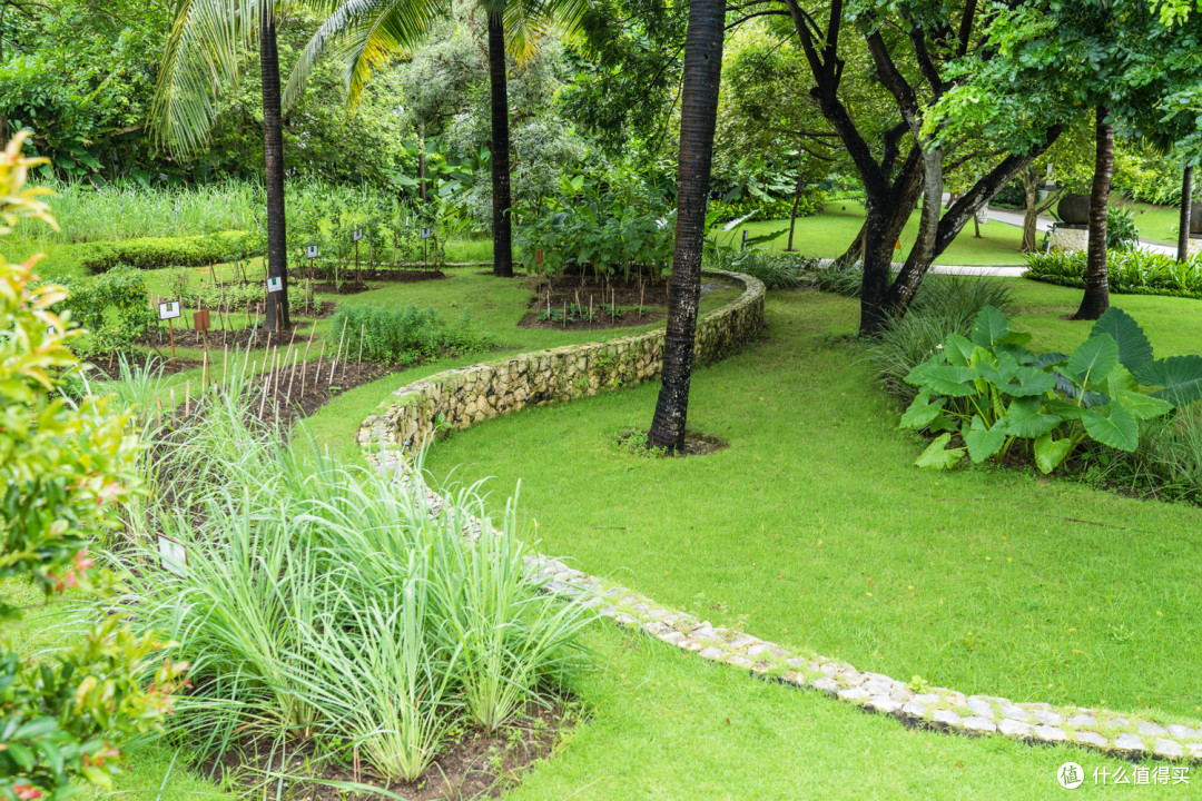 The Ritz-Carlton, Bali, Nusa Dua 巴厘岛丽思卡尔顿