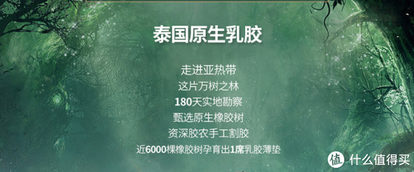 商家宣称乳胶得来不易，如果真是这样，那不到千元的价格根本不贵