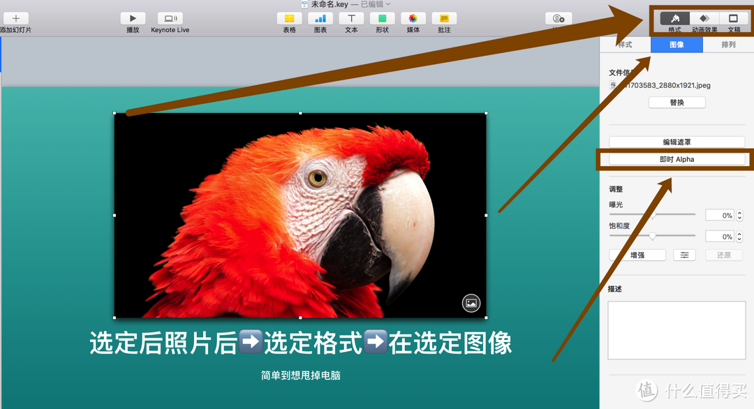 一鸣惊人の教程篇二 使用keynote去背景 2种方法 简单快捷 软件技能 什么值得买