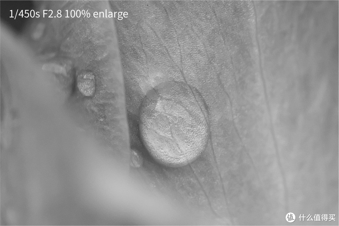 Fujinon 富士能 XF80mm微距镜头使用感受完结篇  2/2