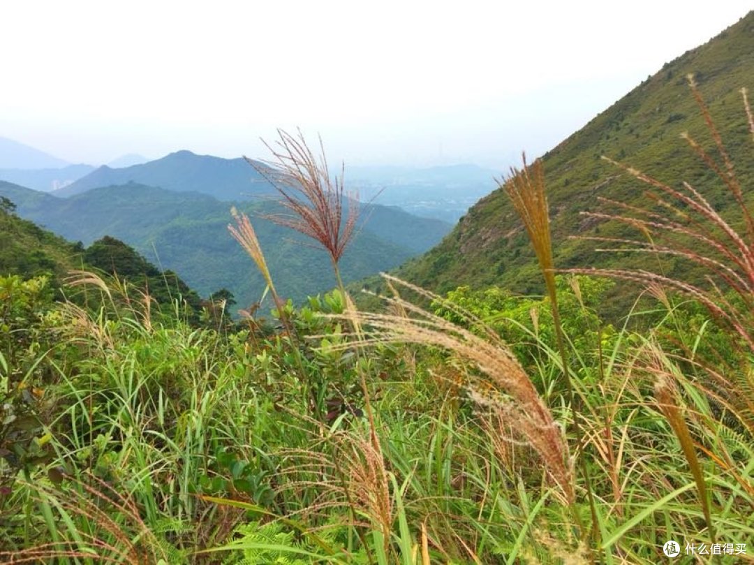 阅尽千山只为你 卫奕信径