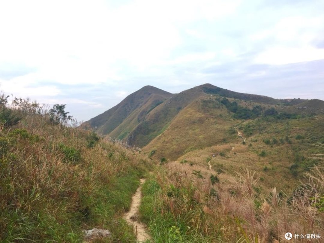 阅尽千山只为你 卫奕信径