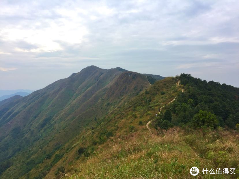 阅尽千山只为你 卫奕信径