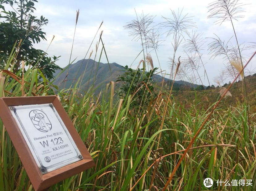 阅尽千山只为你 卫奕信径