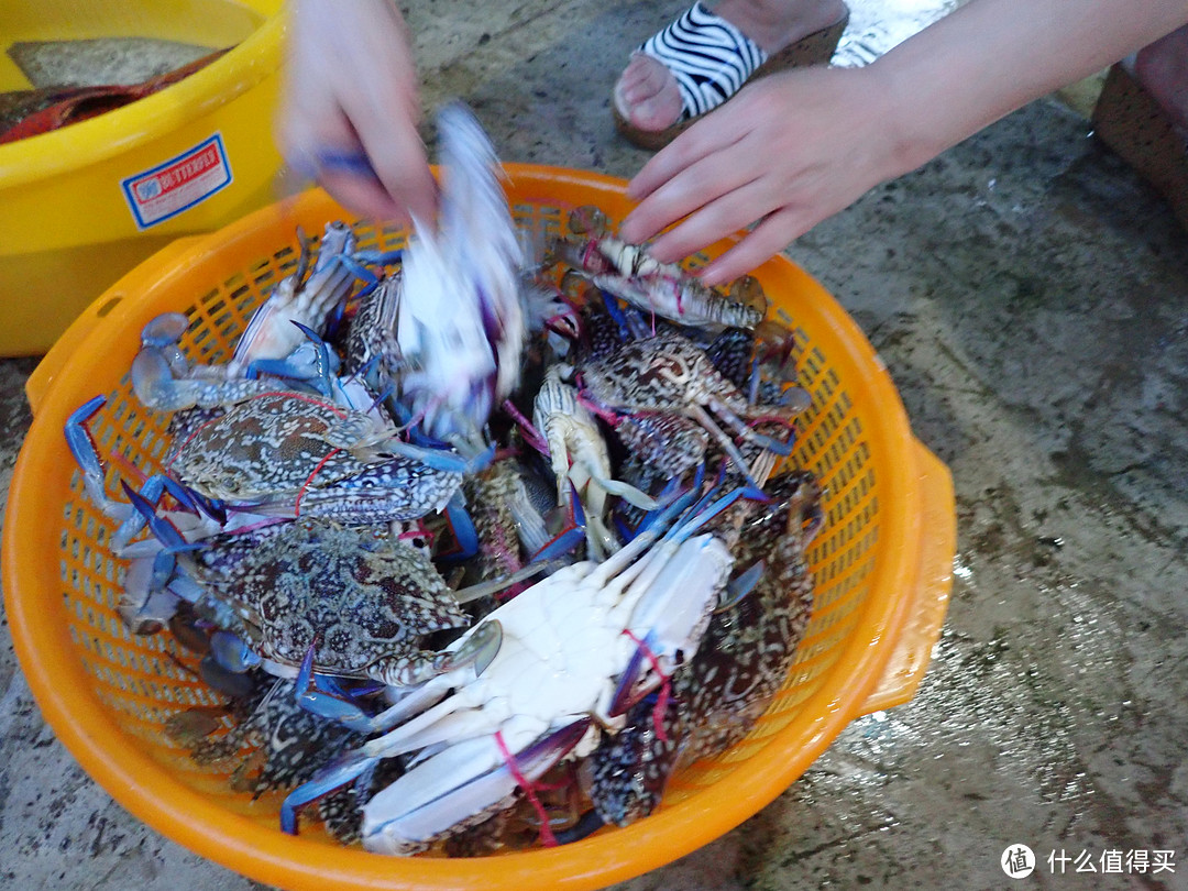 带上父母去看看远方的海—2017马来西亚沙巴仙本那游记