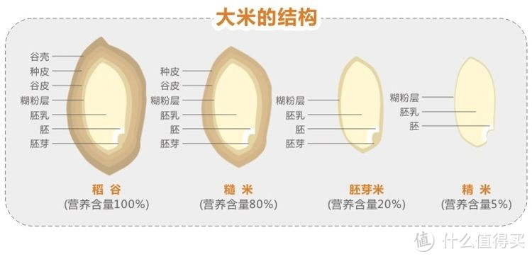 天天吃鸡之 Prairie百利鸡肉糙米全犬粮众测报告