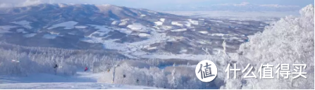 北海道—冬日滑雪，哪个滑雪场是最佳选择？