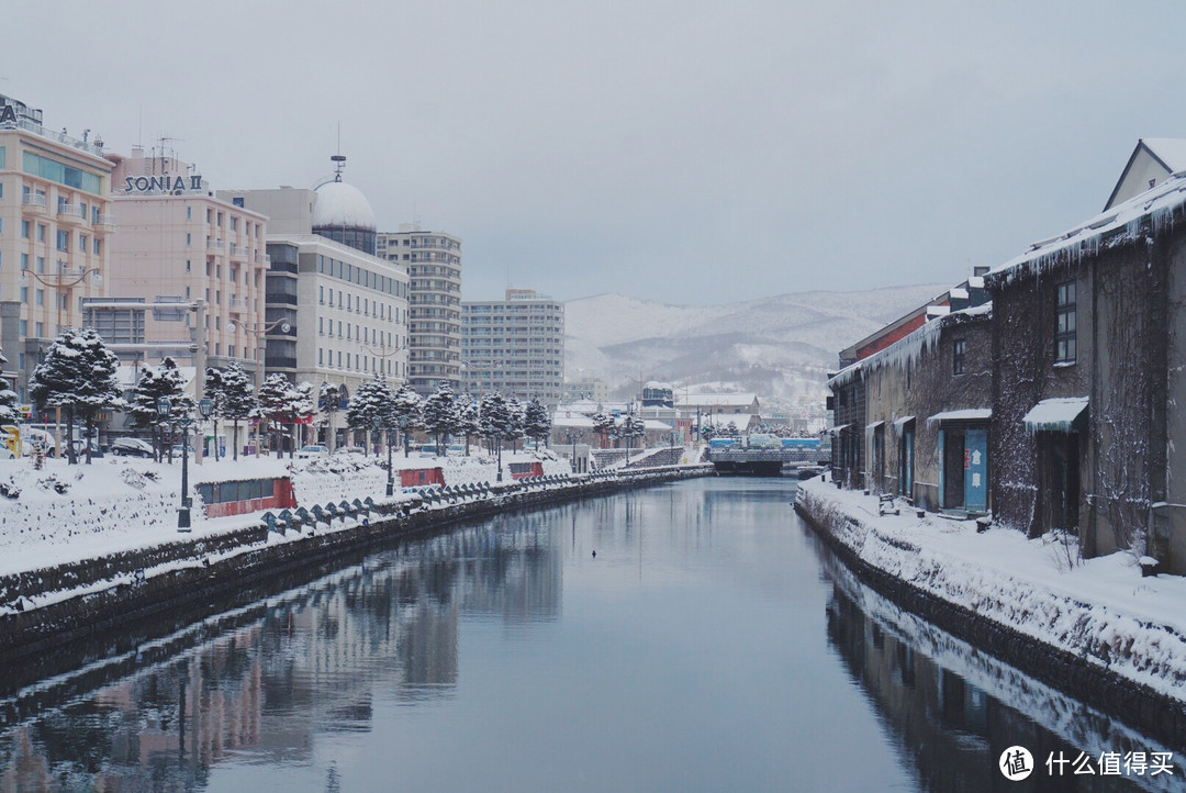 终于去北海道看雪了！北海道自由行新手攻略