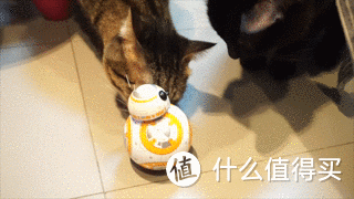 等回过神来,BB-8修复自己,珍珠和奶茶在旁边照顾他 等回过神来,BB-8修复自己,珍珠和奶茶在旁边照顾他