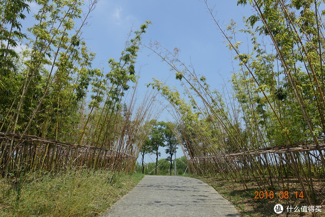 一碗奥灶面引发的旅行—阳澄湖费尔蒙酒店 入住体验