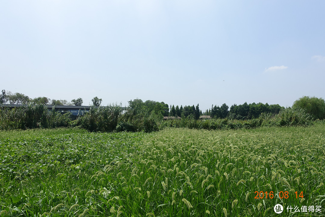 一碗奥灶面引发的旅行—阳澄湖费尔蒙酒店 入住体验