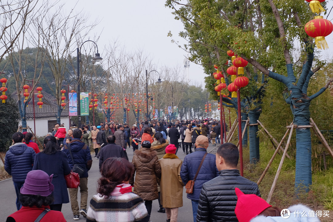 过年很无聊？东湖梅园踏青去