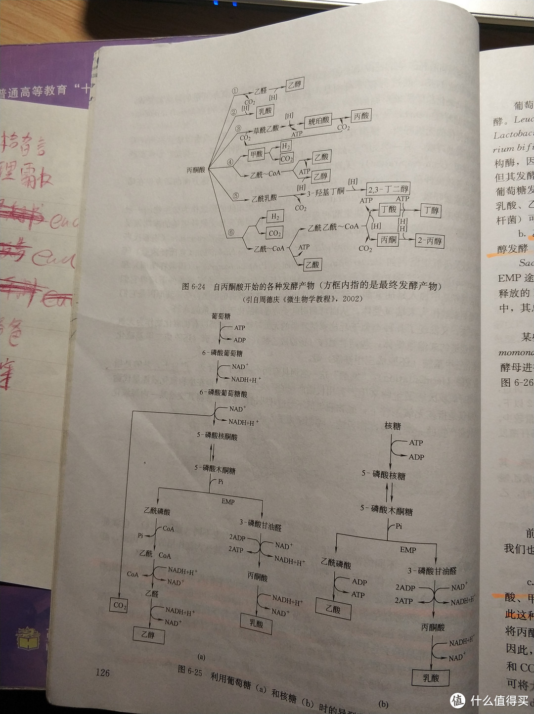 从三瓶汾酒开始，让我们来聊聊酿造