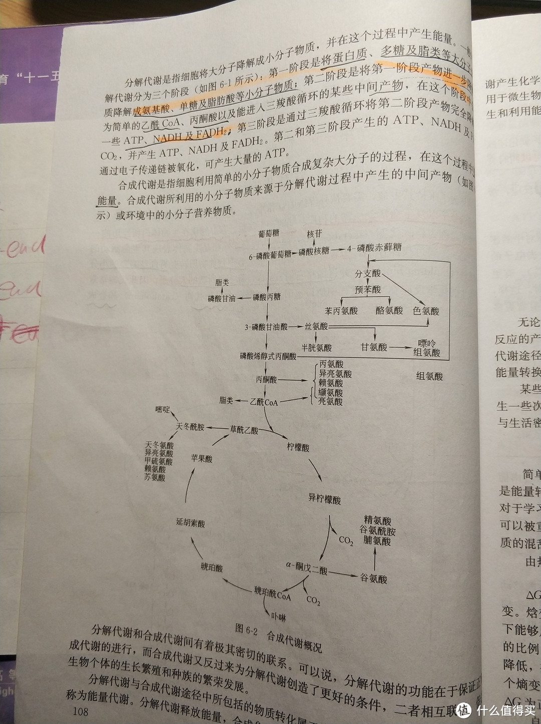 从三瓶汾酒开始，让我们来聊聊酿造