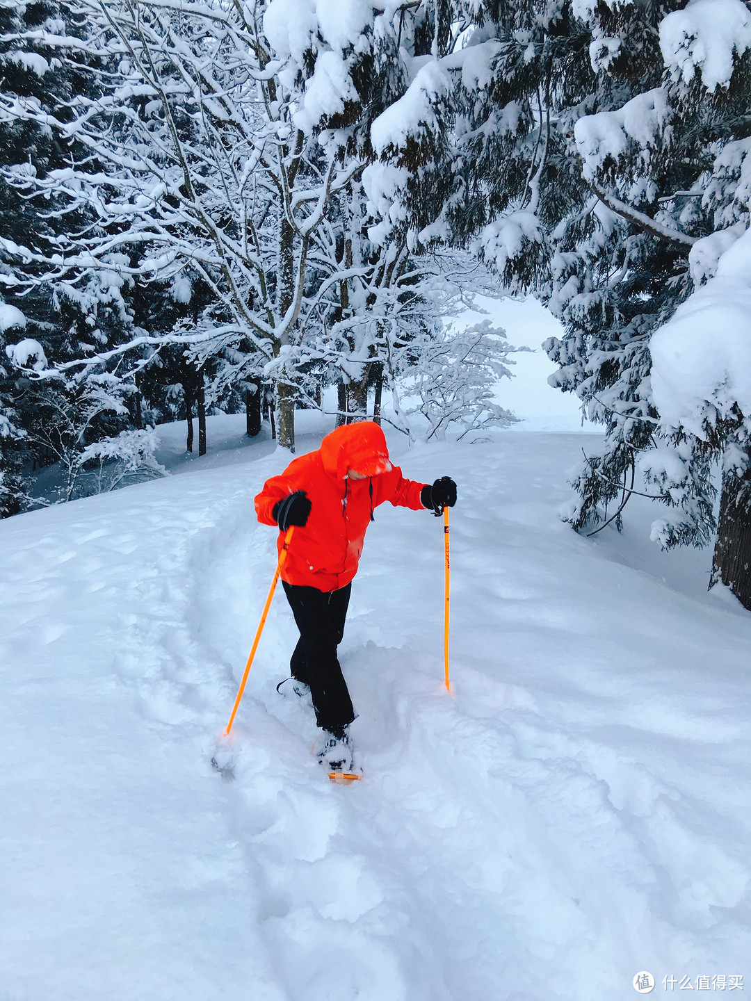 雪国绝景温泉行：远离春节人潮的静谧度假之旅