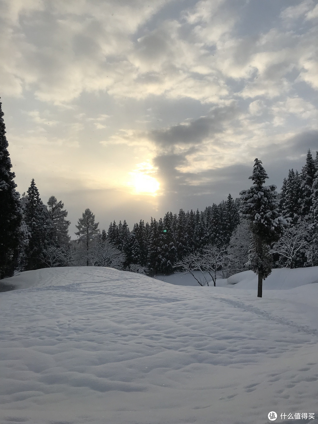 雪国绝景温泉行：远离春节人潮的静谧度假之旅