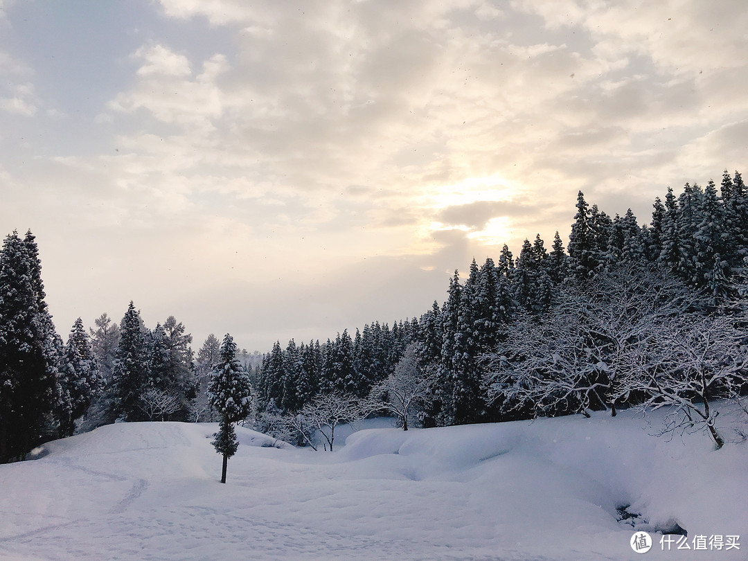 雪国绝景温泉行：远离春节人潮的静谧度假之旅