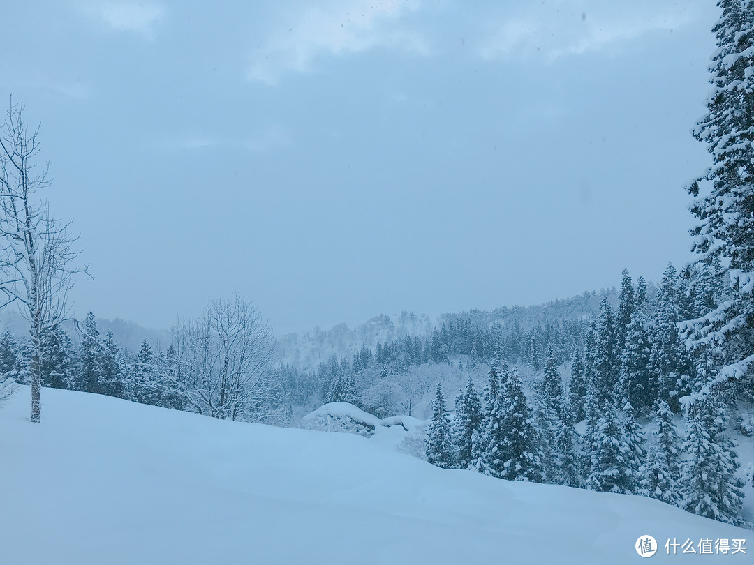 雪国绝景温泉行：远离春节人潮的静谧度假之旅