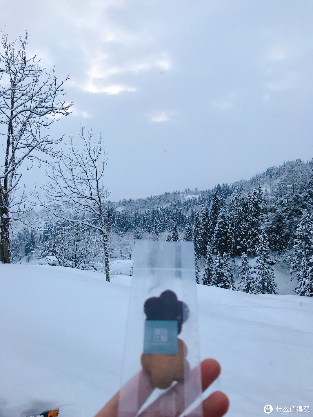 雪国绝景温泉行：远离春节人潮的静谧度假之旅