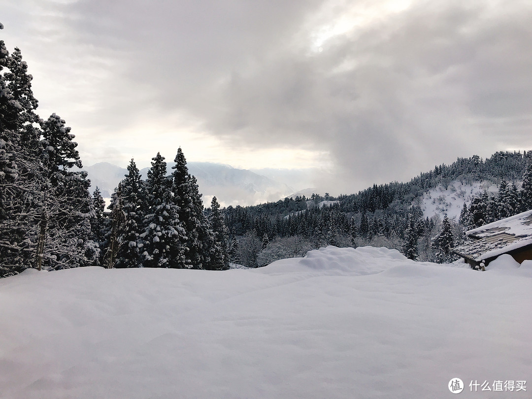 雪国绝景温泉行：远离春节人潮的静谧度假之旅