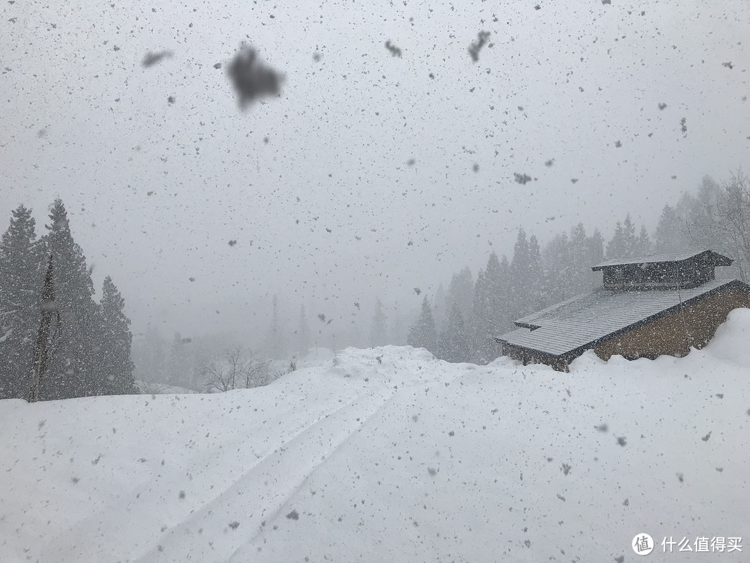 雪国绝景温泉行：远离春节人潮的静谧度假之旅